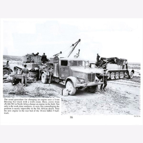 Culver Feist Tiger I Sturmtiger