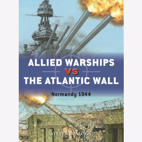 Allied Warships vs the Atlantic Wall Osprey Duel 128