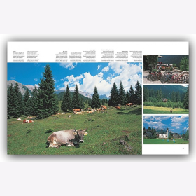 Journey through Tirol - Englische Ausgabe Martin Siepmann / Weger Reise durch Reisef&uuml;hrer