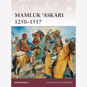 Mamluk Askar 1250-1517 Nicolle Osprey Warrior 173