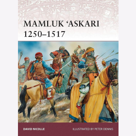 Mamluk Askar 1250-1517 Nicolle Osprey Warrior 173