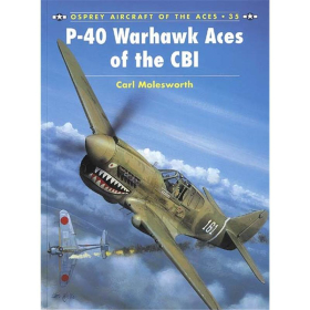 P-40 Warhawk Aces of CBI (ACE Nr. 35)