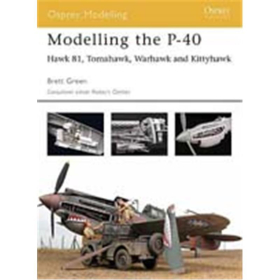 Modelling the P-40 (MOD Nr. 15)