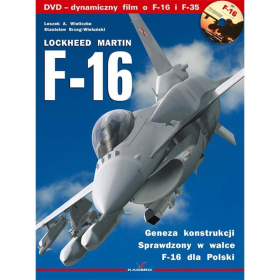 F-16 mit DVD
