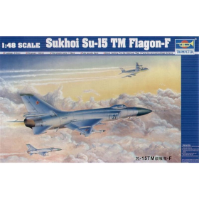 SU-15TM Flagon F (Nr. 02811)