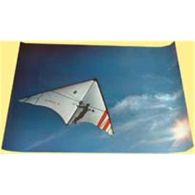 Drachenflieger (Poster Nr. 1020)