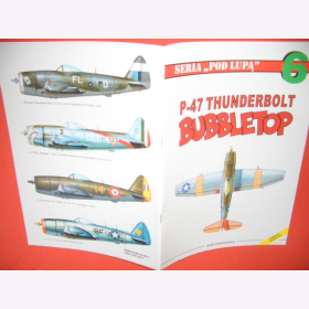 P-47 THUNDERBOLT BUBBLETOP Nr.: 6