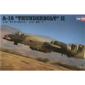 A-10A Thunderbolt II, Hobby Boss 80323, M 1:48